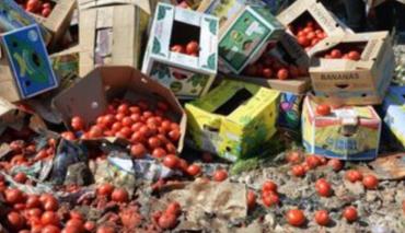 Совмин Беларуси опубликовал полный перечень запрещенных для ввоза товаров из ЕС